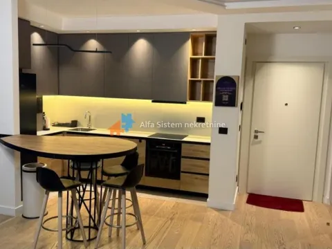 Izdavanje, dvosoban stan, 60m², Savski Venac, Beograd - image 2