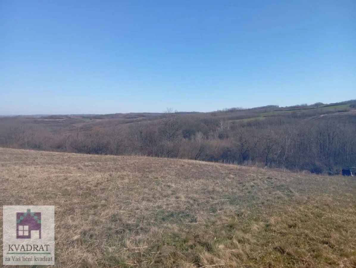 Prodaja, plac, 6000m², Obrenovac, Beograd