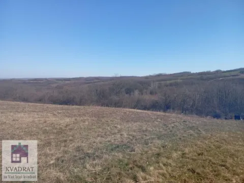 Prodaja, plac, 6000m², Obrenovac, Beograd - image 2