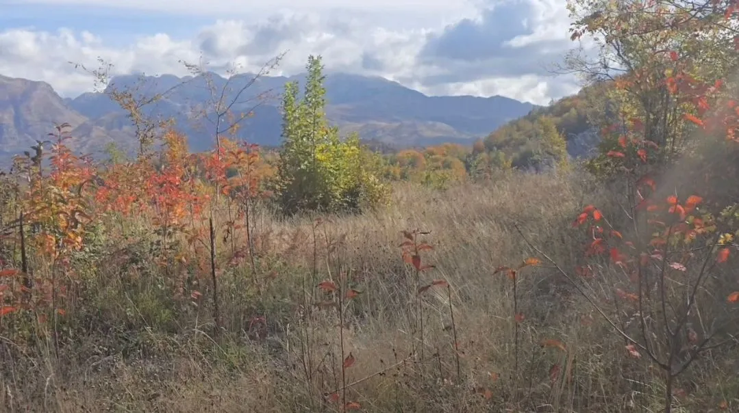Prirodno okruženje sa rastinjem i pogledom na planine.