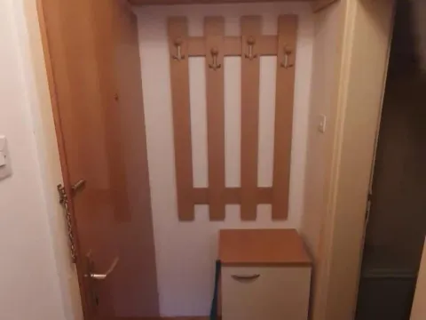 Izdavanje, garsonjera, 22m², Nova Detelinara, Novi Sad Sve Podlokacije - image 7