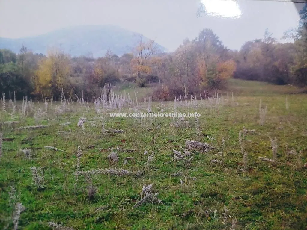 Prodaja, plac, 34826m², Bandići, Danilovgrad