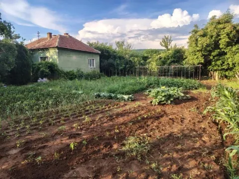 Seosko imanje sa starom kućom i velikom baštom. - image 2