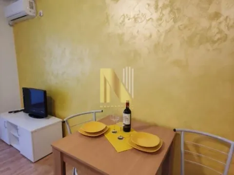 Izdavanje, jednosoban stan, 35m², Centar, Novi Sad - image 5