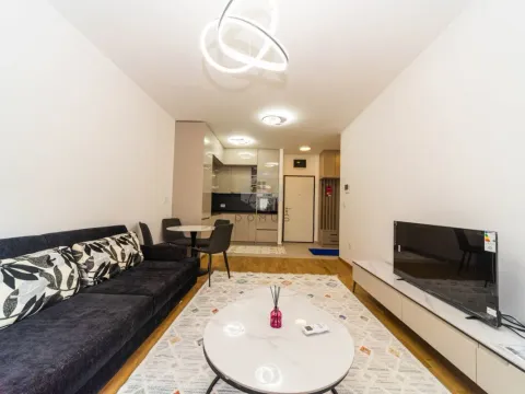 Izdavanje, jednosoban stan, 49m², Stari Aerodrom, Podgorica - image 1