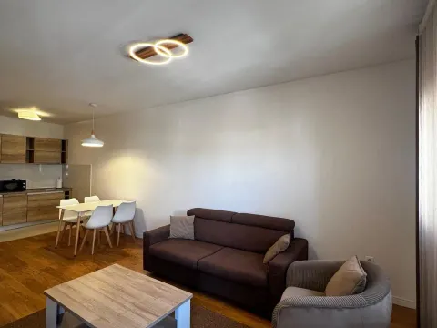 Rent, one bedroom apartment, 46m², Central Point, Podgorica - image 2