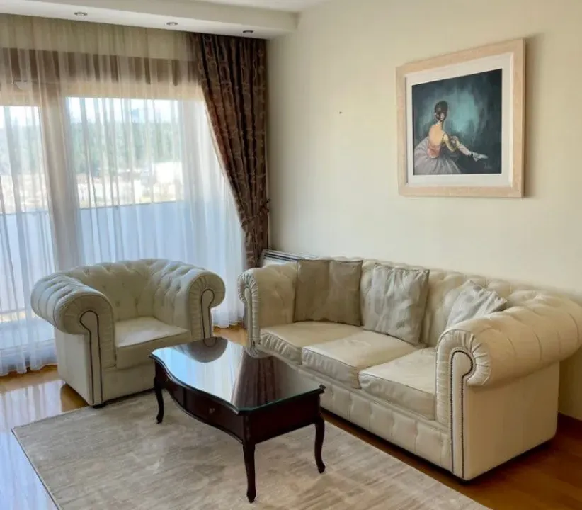 Izdavanje, jednosoban stan, 52m², Preko Morače, Podgorica