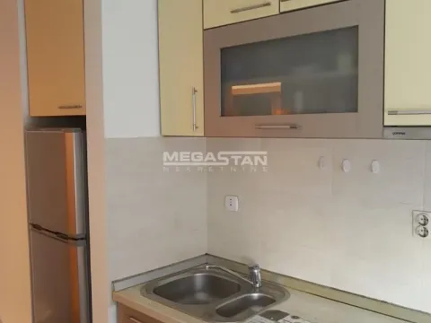 Izdavanje, dvosoban stan, 40m², Novi Beograd Blok 63, Novi Beograd Sve Podlokacije - image 12