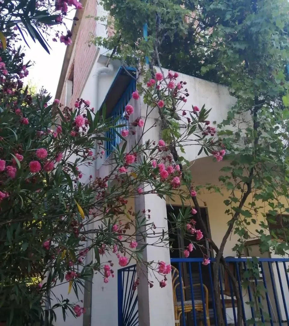 Sale, house, 270m², Kamenovo, Budva