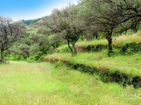 Prodaja, plac, 5000m², Prčanj, Kotor - image 11