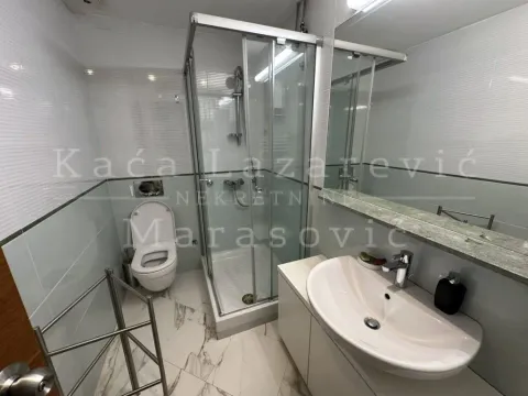 Izdavanje, četvorosoban stan, 118m², Vračar Hram, Vračar Sve Podlokacije - image 17