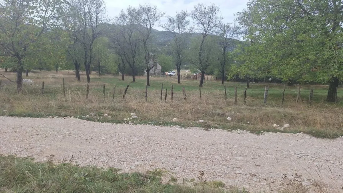 Prodaja, plac, 3000m², Grahovo, Nikšić