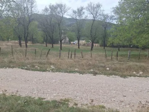 Prodaja, plac, 3000m², Grahovo, Nikšić - image 3