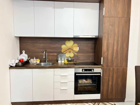 Rent, one bedroom apartment, 48m², Stari Aerodrom, Podgorica - image 4