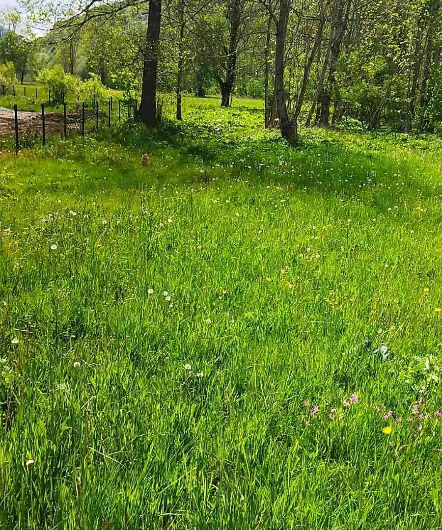 Prodaja, plac, 10000m², Kolašin, Crna Gora
