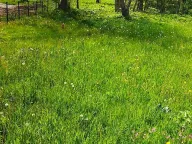 Prodaja, plac, 10000m², Kolašin, Crna Gora - image 2