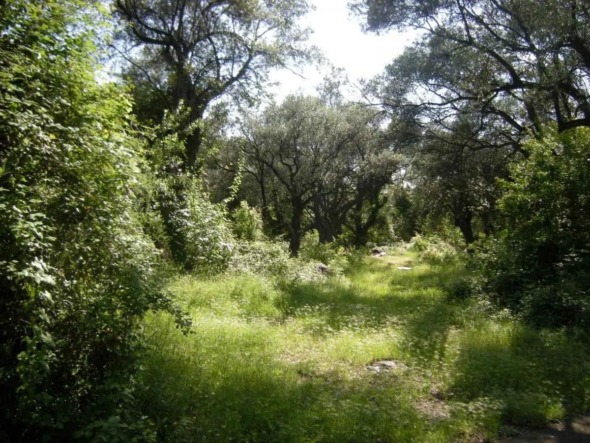 Prodaja, plac, 500m², Budva, Crna Gora