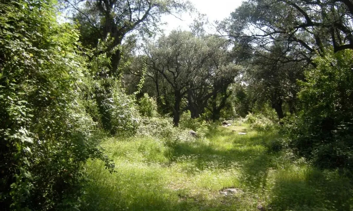 Sale, land lot, 500m², Budva, Crna Gora