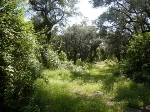 Prodaja, plac, 500m², Budva, Crna Gora