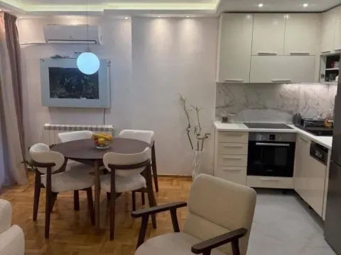 Izdavanje, dvosoban stan, 55m², Vračar Sve Podlokacije, Beograd - image 2