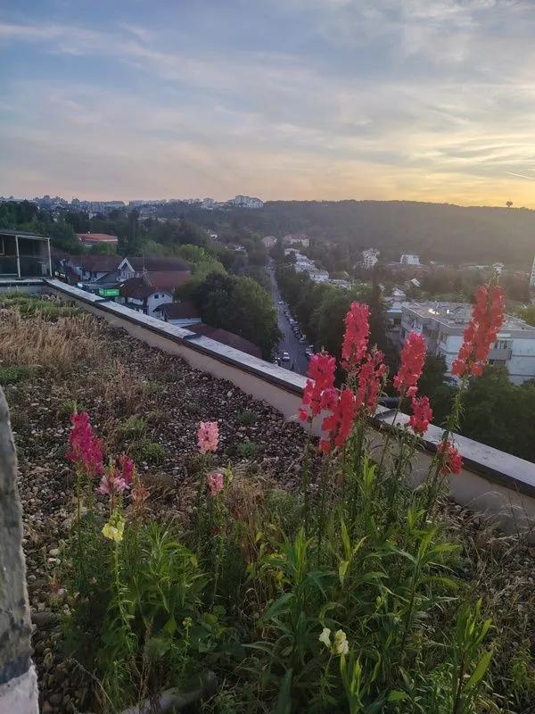 Prodaja, jednosoban stan, 41m², Centar Sve Podlokacije, Beograd
