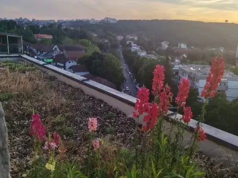 Prodaja, jednosoban stan, 41m², Centar Sve Podlokacije, Beograd - image 9
