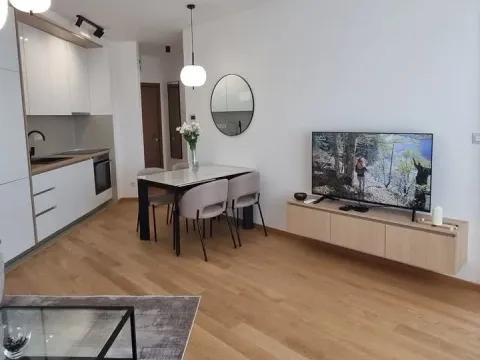 Rent, one bedroom apartment, 44m², Bečići, Budva - image 7