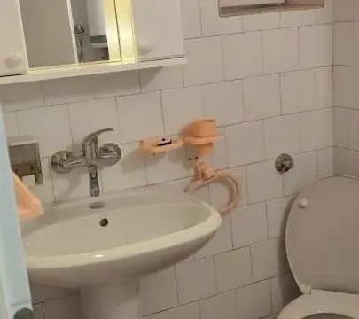 Izdavanje, dvosoban stan, 50m², Salajka, Novi Sad Sve Podlokacije - image 14