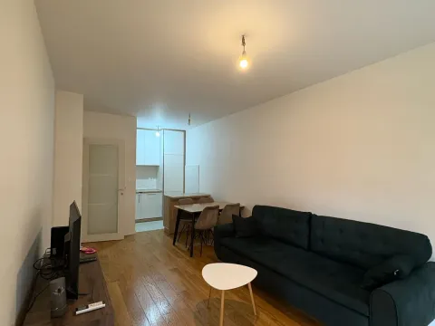 Izdavanje, jednosoban stan, 47m², Central Point, Podgorica