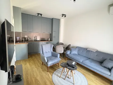 Izdavanje, jednosoban stan, 37m², Gruda, Cetinje - image 1