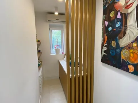 Izdavanje, trosoban stan, 64m², Zemun Centar, Zemun Sve Podlokacije - image 15