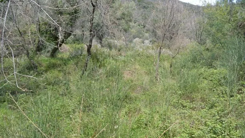 Prodaja, plac, 500m², Kumbor, Herceg Novi