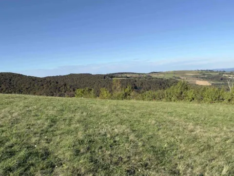 Prodaja, zemljište, 20542m2, Gornji Branetići, Gornji Milanovac Prodaja, zemljište, 20542m2, Gornji Branetići, Gornji Milanovac