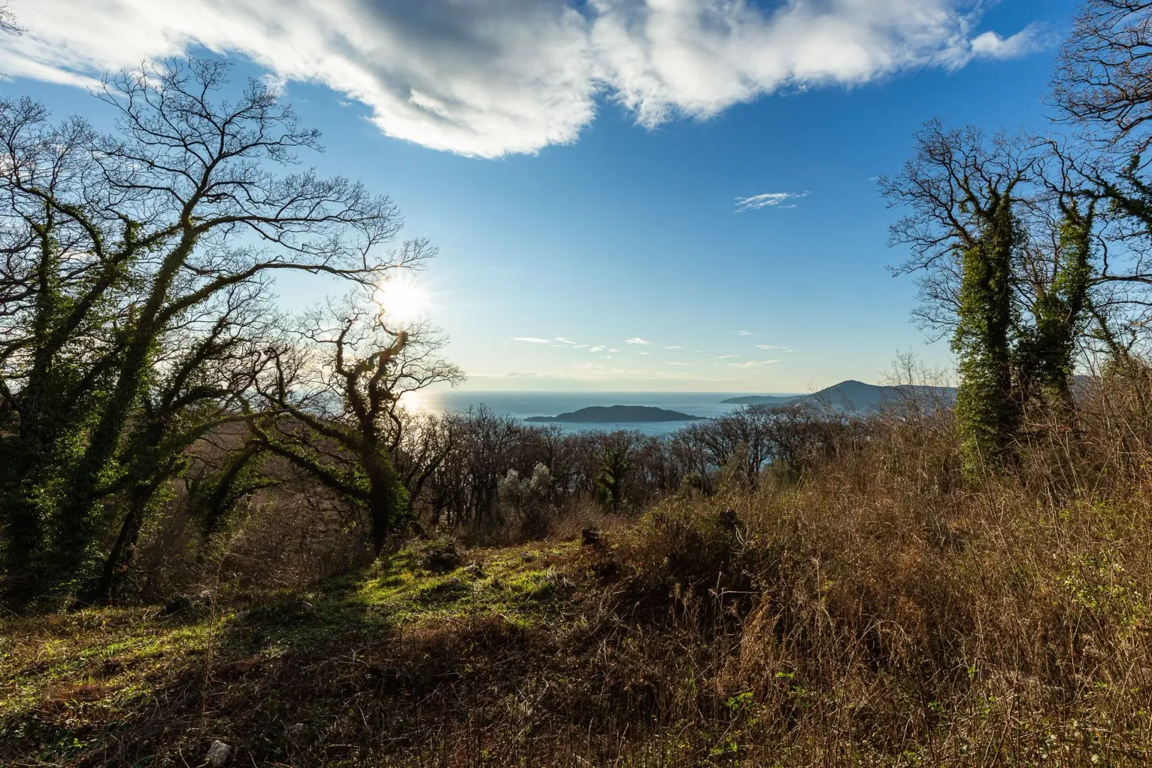 Pogled na more i šumu sa parcele.