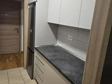 Rent, one bedroom apartment, 56m², Jugovićevo, Novi Sad Sve Podlokacije - image 4