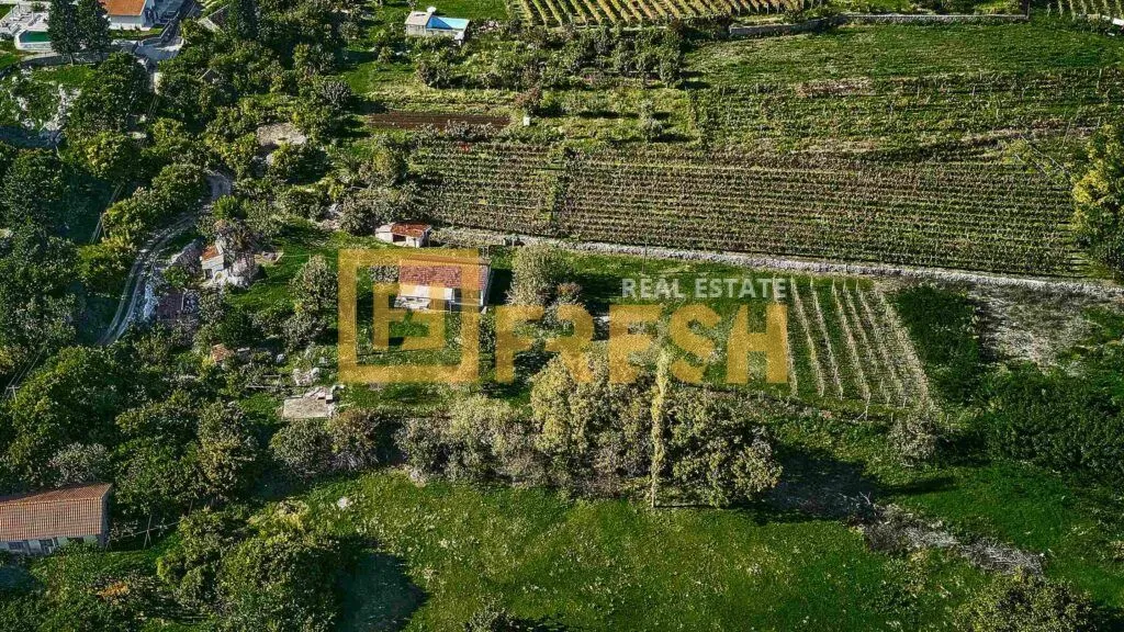 Prodaja, plac, 3891m², Danilovgrad, Crna Gora