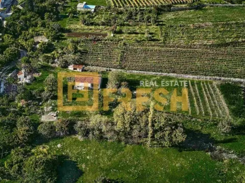 Prodaja, plac, 3891m², Danilovgrad, Crna Gora - image 5