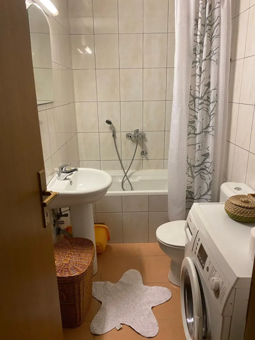 Rent, one bedroom apartment, 42m², Blok 6, Podgorica