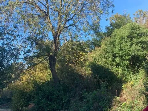 Sale, land lot, 1594m², Utjeha, Bar - image 14