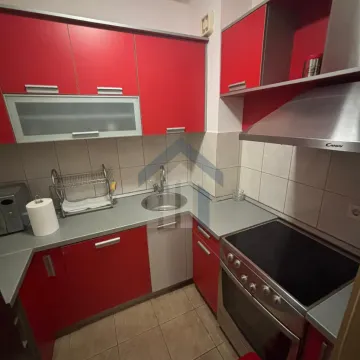 Rent, one bedroom apartment, 47m², Stari Aerodrom, Podgorica - image 3