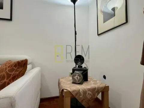 Izdavanje, jednosoban stan, 43m², Stari Aerodrom, Podgorica - image 9