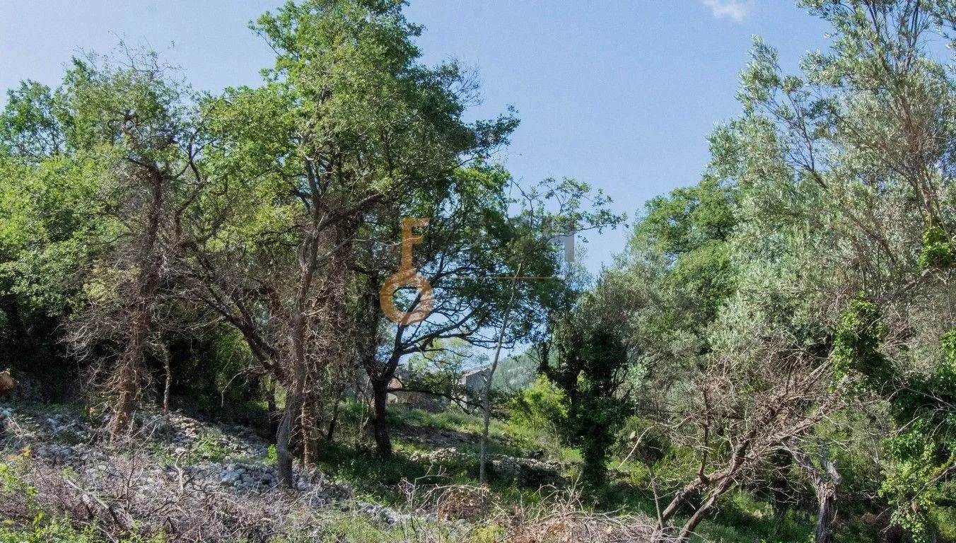Prodaja, plac, 22107m², Budva, Crna Gora