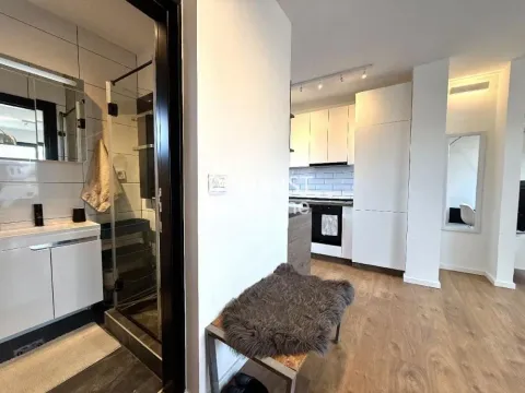 Izdavanje, dvosoban stan, 43m², Gundulićev Venac, Beograd - image 13