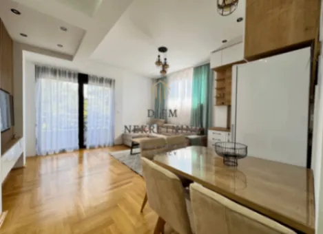 Izdavanje, jednosoban stan, 45m², Pod Goricom, Podgorica - image 11