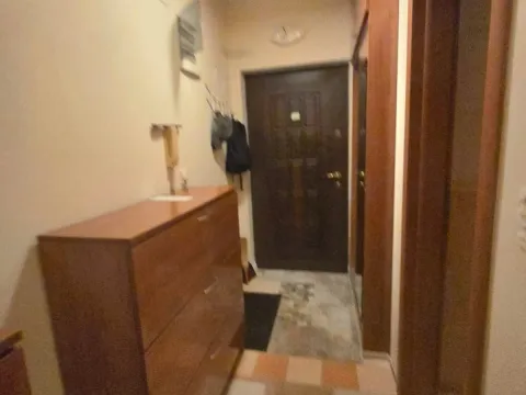 Prodaja, garsonjera, 29m², Rozino, Budva - image 9