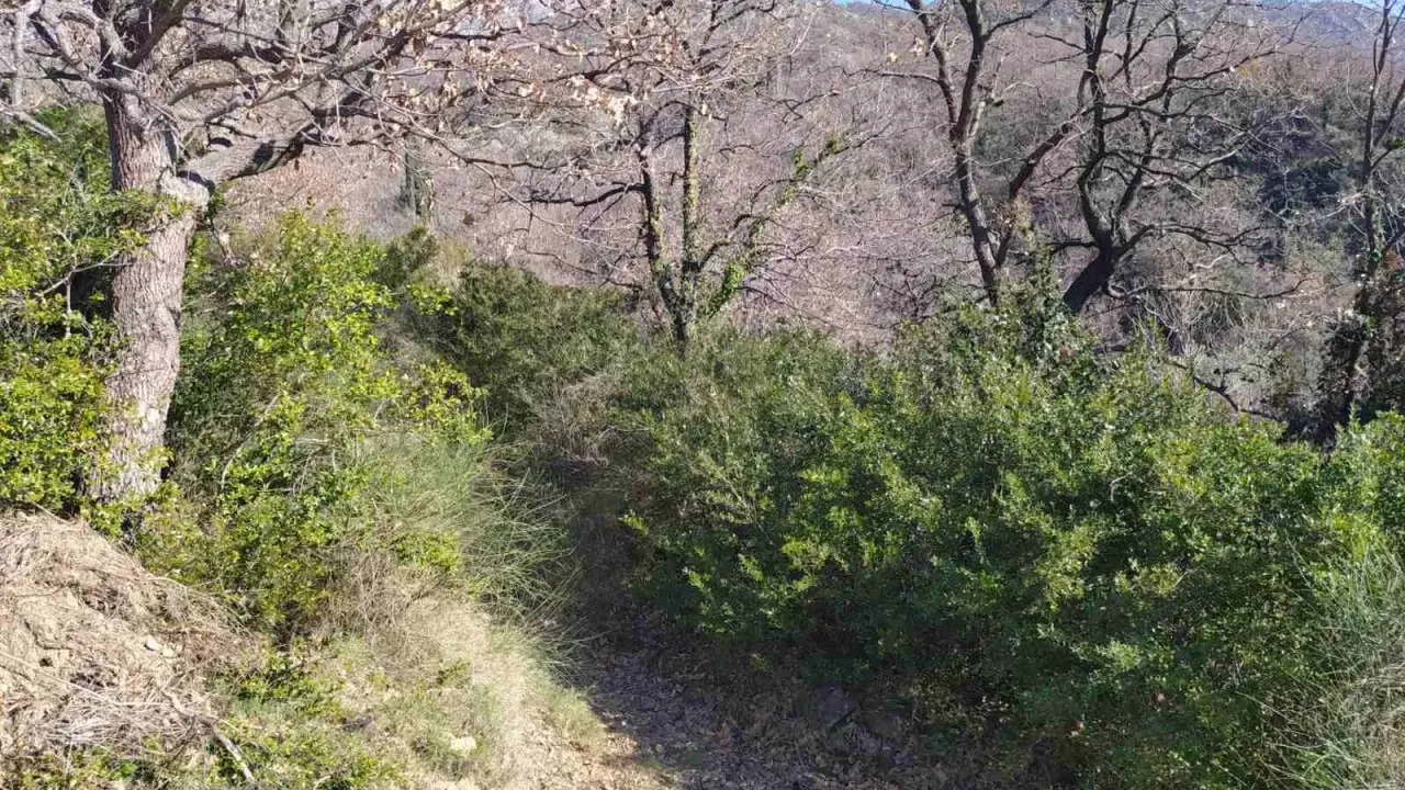 Prodaja, plac, 9880m², Bar, Crna Gora