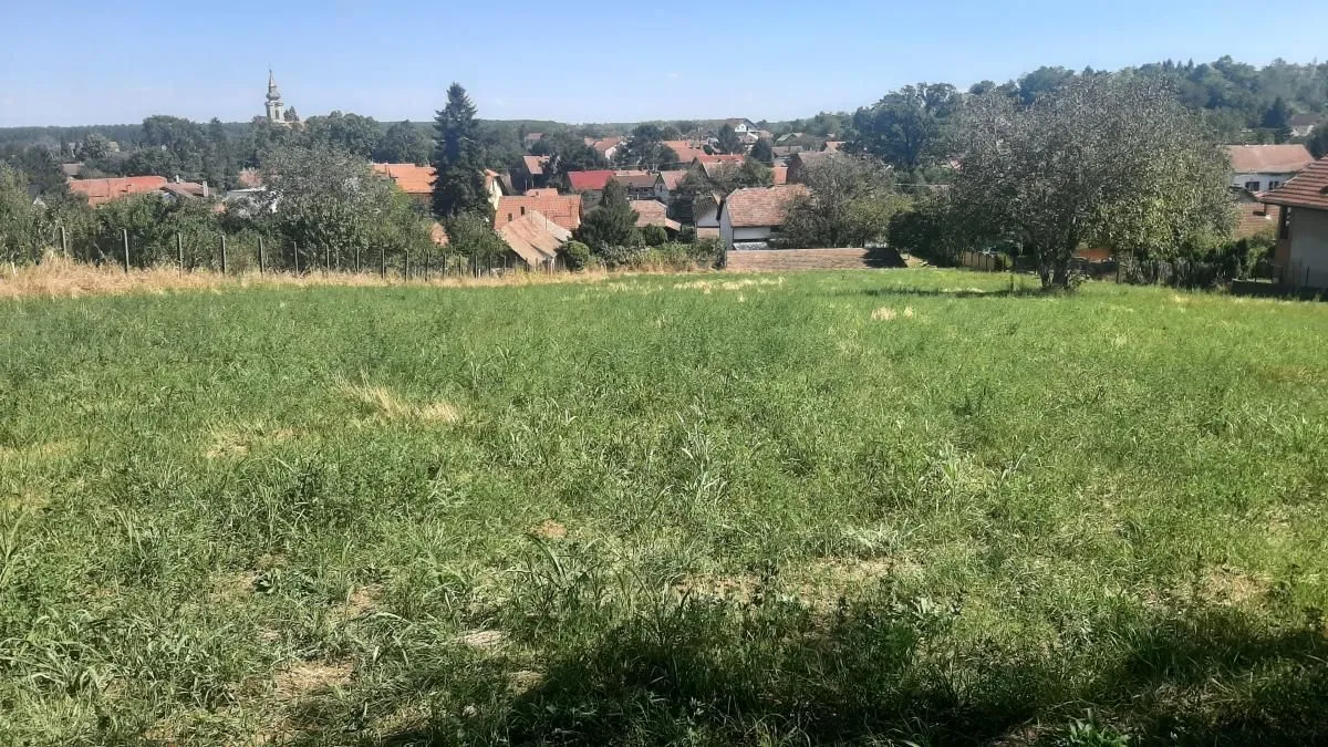 Prodaja, plac, 2800m², Petrovaradin, Novi Sad