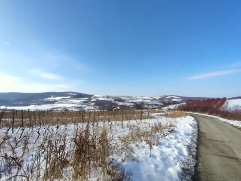 Prodaja, plac, 300m², Beočin, Srbija - image 18