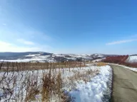 Prodaja, plac, 300m², Beočin, Srbija - image 18