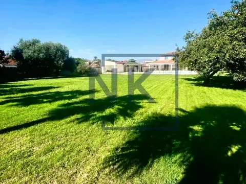 Izdavanje, kuća, 450m², Donja Gorica, Podgorica - image 2